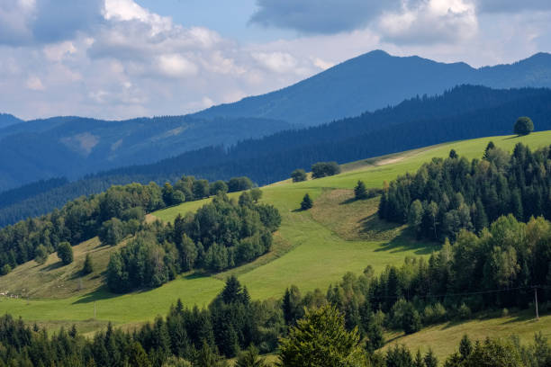 istock western carpathian Tatra mountain skyline with green fields and forests in foreground 1066962182