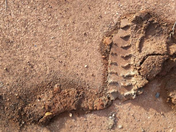 istock tire track on mud for background 1066962958