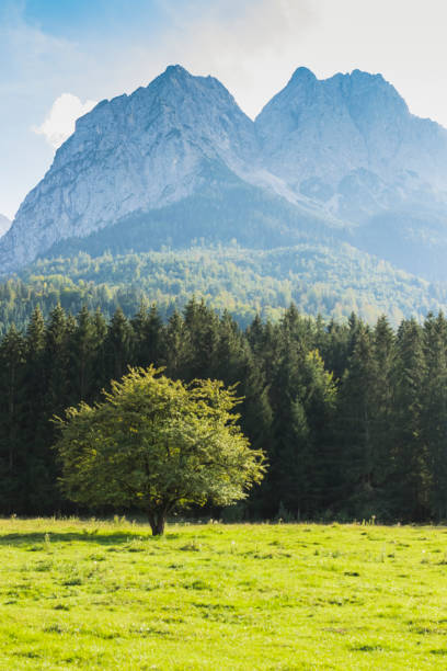 istock Landscape view Bavarian Alps, Germany, Europe 1066962992