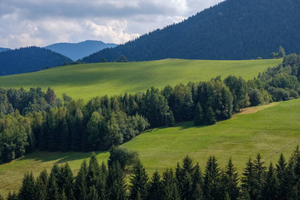 istock western carpathian Tatra mountain skyline with green fields and forests in foreground 1066963972