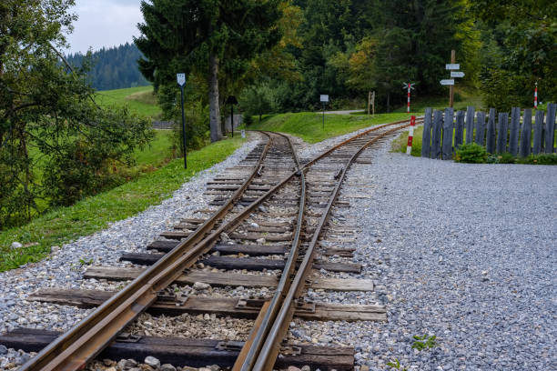 ancient log wood railway and train on the tracks. tourist attraction train in slovakia
