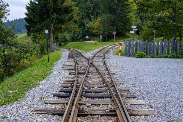 ancient log wood railway and train on the tracks. tourist attraction train in slovakia