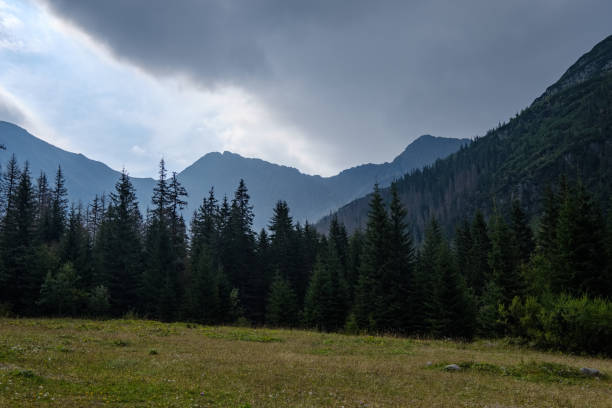 istock western carpathian Tatra mountain skyline with green fields and forests in foreground 1066964214