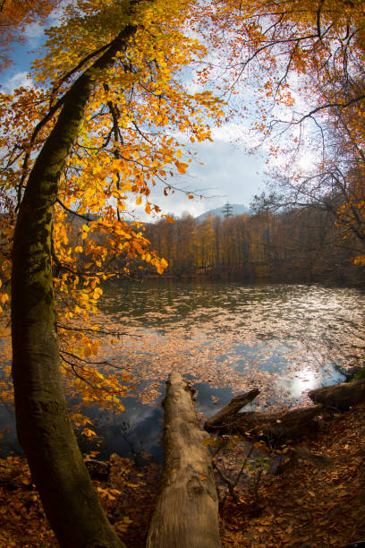 istock Autumn scene. Seven lakes Bolu Turkey 1066966730