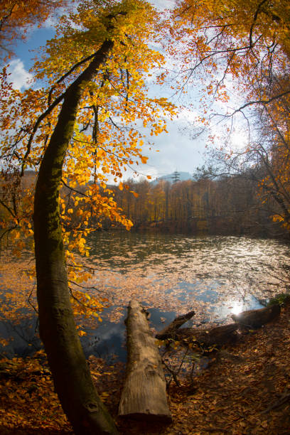 istock Autumn scene. Seven lakes Bolu Turkey 1066968056