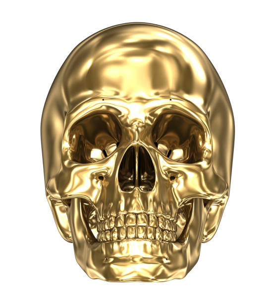 istock Golden human skull over white , 3D illustration 1066968764