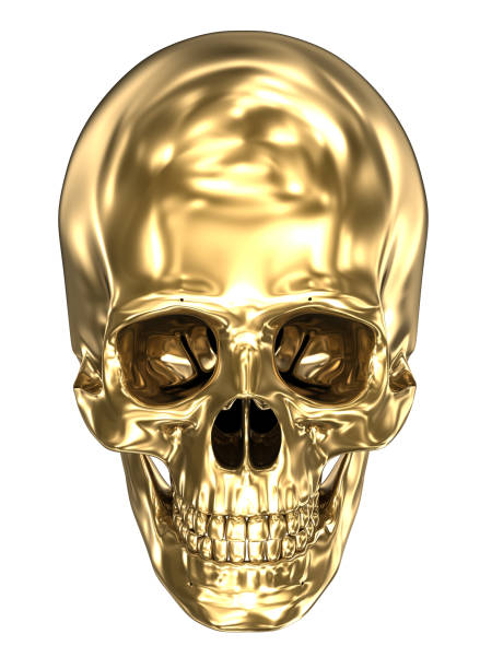 istock Golden human skull over white , 3D illustration 1066968770
