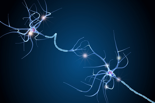 Nerve cell anatomy in details. 3D illustration