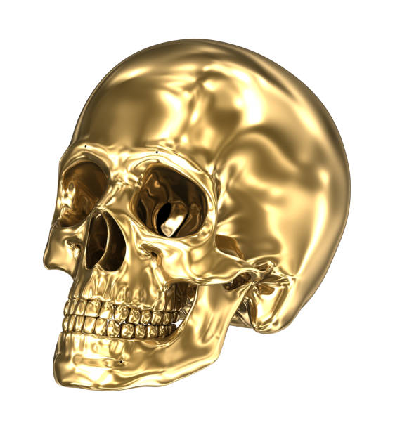 istock Golden human skull over white , 3D illustration 1066968796
