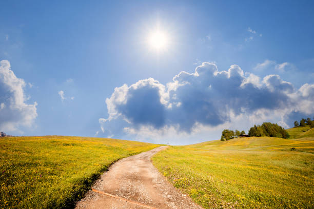 istock Summer sunny alpine meadow. Road to the hill 1066970308