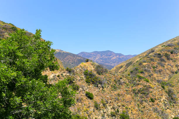 istock Inside the Santa Monica Mountains 1066973266