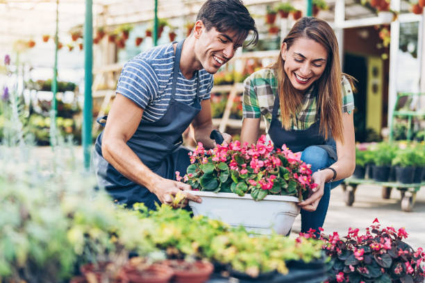 istock Gardeners arranging a blooming planter 1066978174