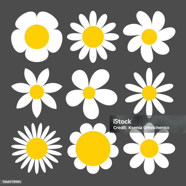 Camomile Icon Set On Grey Background Stock Illustration - Download Image Now - Daisy, Cartoon, Icon Symbol