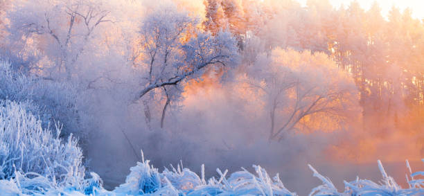 istock Frosty Christmas morning 1066979890