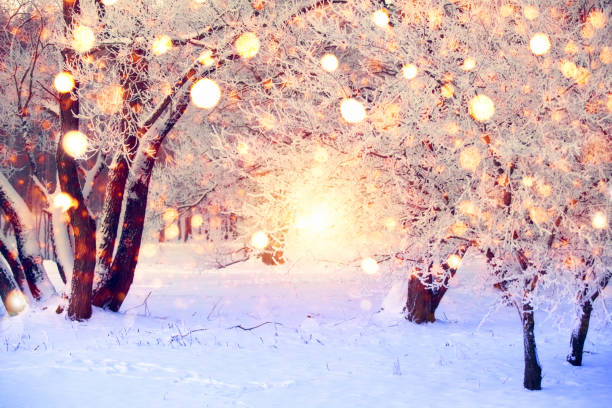 istock Christmas wonderland 1066979928