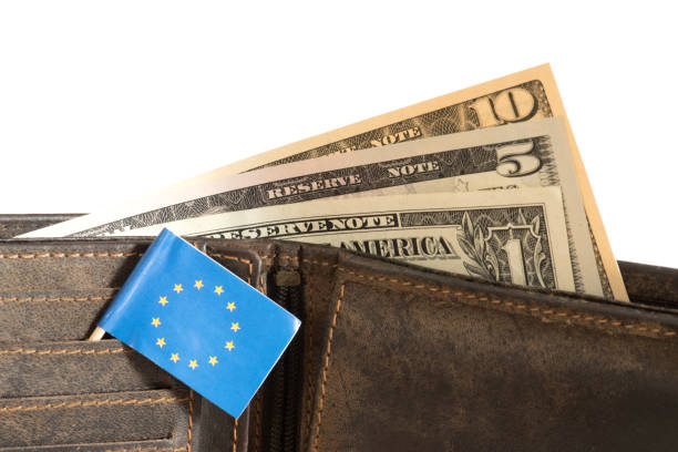 dollar banknotes, purse and flag of the european union eu - currency exchange currency european union currency dollar imagens e fotografias de stock