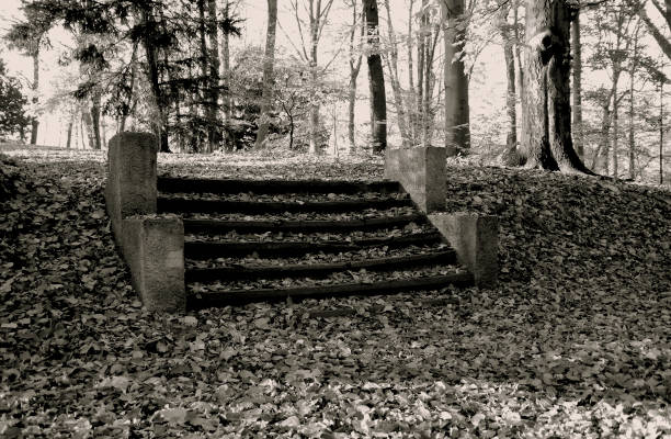 istock Germany: Dreamy old stairs in an autumnal park 1066983784