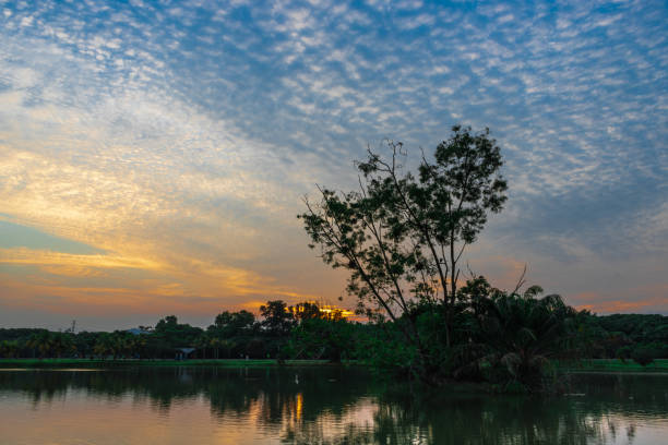 istock Sunrise in Metropolitan Park 1066991224