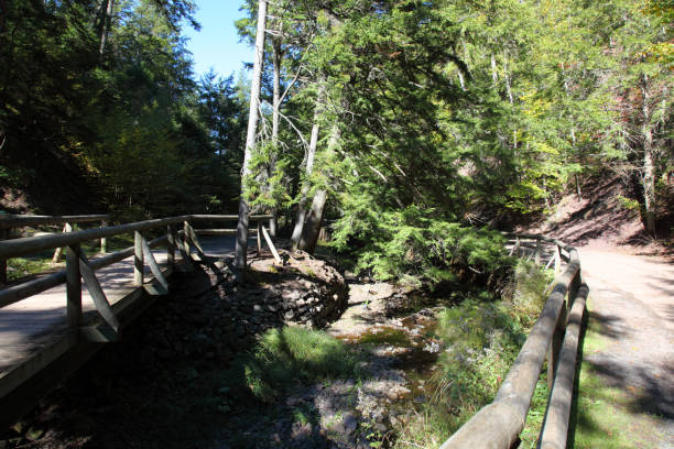 istock Scenery In Victoria Park, Nova Scotia, Canada 1066992396