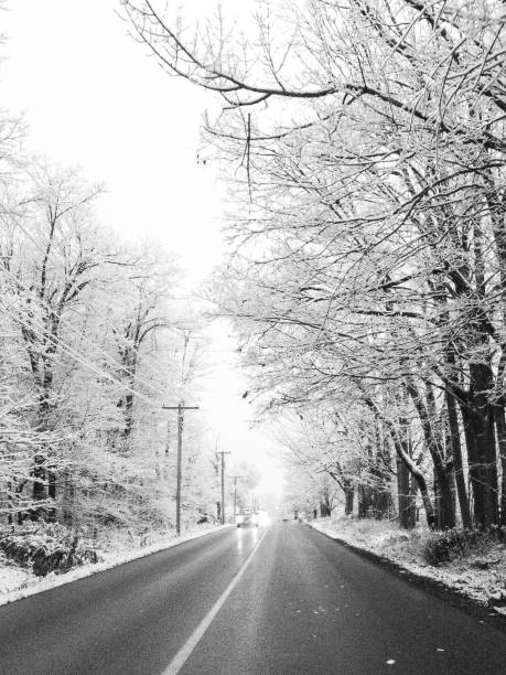istock Winter Road in Canada 1066994422