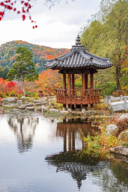 istock The octagon in the pond 1066998458