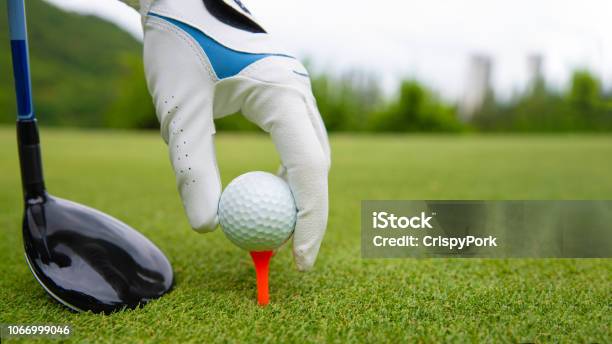 Mano Poniendo Pelota De Golf En Tee En El Campo De Golf Foto de stock y más banco de imágenes de Golf