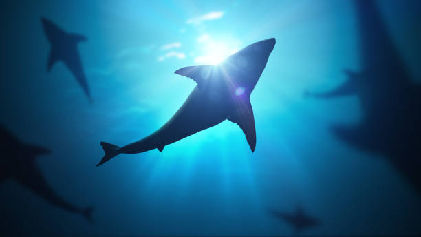 istock 3D rendered illustration of sun light rays under water. 1066999852