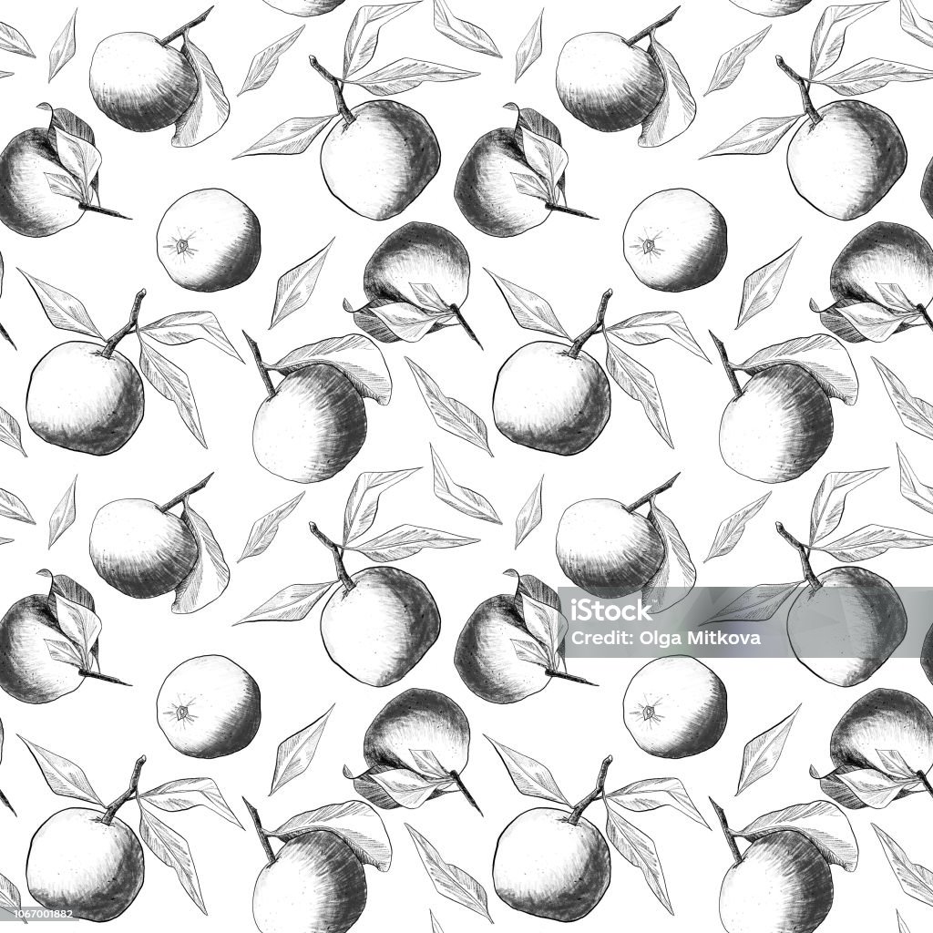 Ilustración de De Patrones Sin Fisuras Mandarinas O Manzanas Únicas Lápiz Dibujos De Frutas Y Hojas Combinadas En Composiciones Hermosas y más Vectores Libres de Derechos de Anticuado - iStock Ilustración de De Patrones Sin Fisuras Mandarinas O Manzanas Únicas Lápiz Dibujos De Frutas Y Hojas Combinadas En Composiciones Hermosas y más Vectores Libres de Derechos de Anticuado - iStock