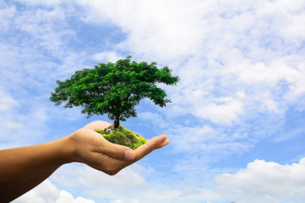 istock Human hands holding green plant over blue sky background.Saving world natural environment and sustainable ecosystem with tree planting on volunteer's hand. Environment. Ecology concept,copy space. 1067003978
