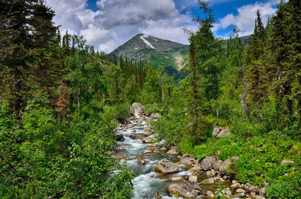 istock Fast flowing source of mountain river among dense forests and huge stones 1067016768
