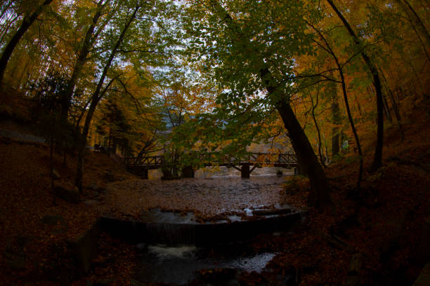 Autumn scene. Seven lakes Bolu Turkey