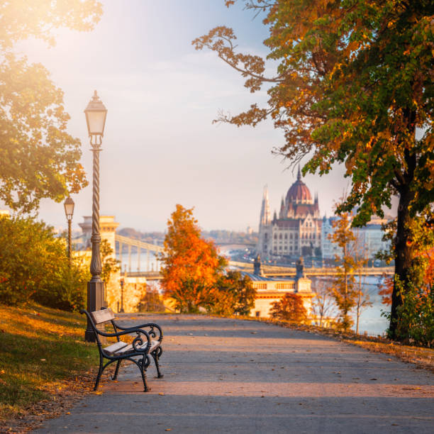 istock Budapest, Hungary - Romantic sunrise scene at Buda district with bench, lamp post, autumn foliage, Szechenyi Chain Bridge and Parliament 1067041068
