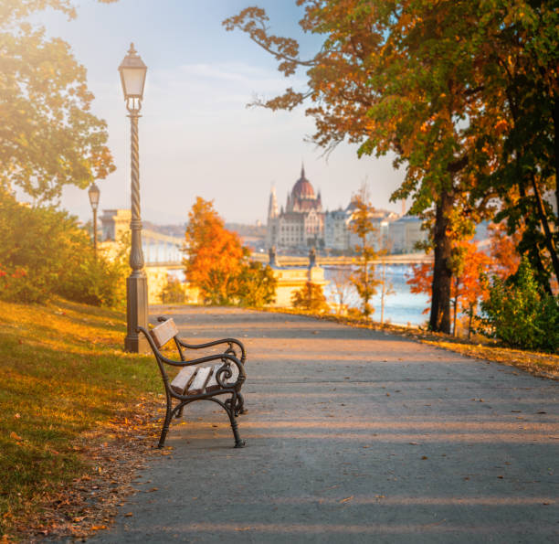 istock Budapest, Hungary - Romantic sunrise scene at Buda district with bench, lamp post, autumn foliage, Szechenyi Chain Bridge and Parliament 1067041168