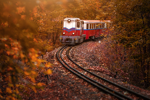 Budapest, Hungary - Beautiful autumn forest with foliage and old colorful train on the track in Hungarian woods at Huvosvolgy