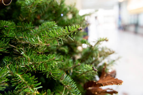 istock Decorated Christmas tree with toys, gift box and bauble. 1067044140