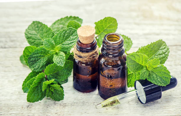 istock medicinal herbs. Selective focus. medicine and health. 1067045640