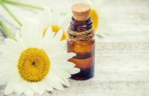 istock Chamomile essential oil in a small bottle. Selective focus. 1067045772