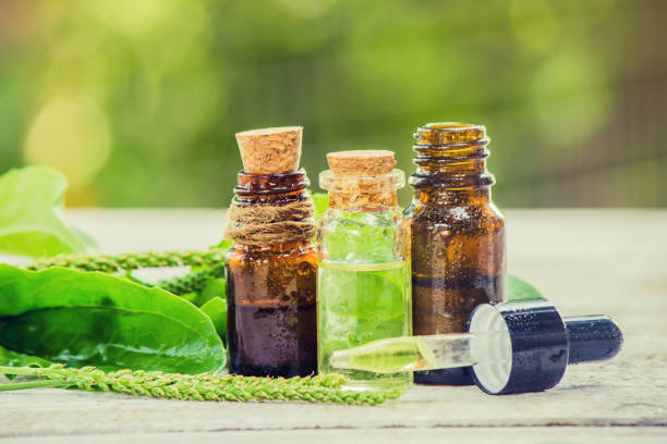 istock extract of plantain in a small jar. Selective focus. 1067045856