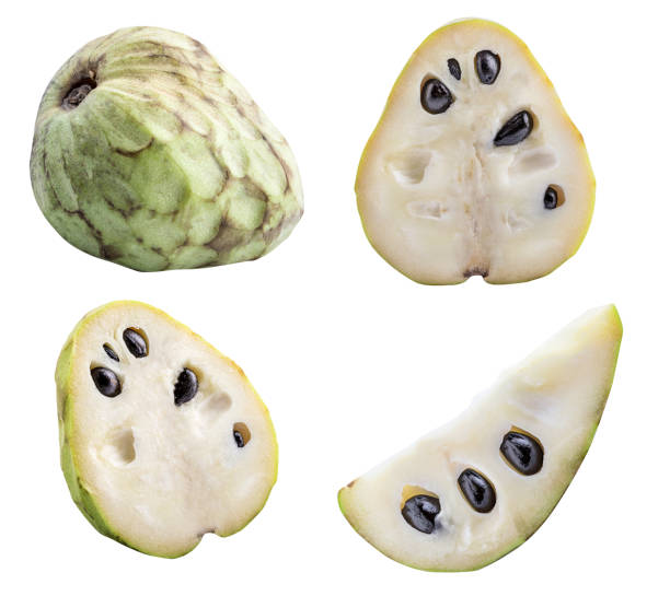 istock Collection of cherimoyas isolated on white background with shadow. Clipping path. 1067057034