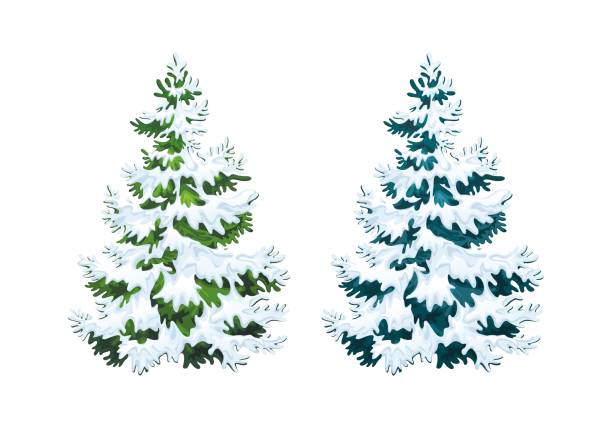 istock Realistic illustration of fluffy fir tree in snow 1.1 1067057094
