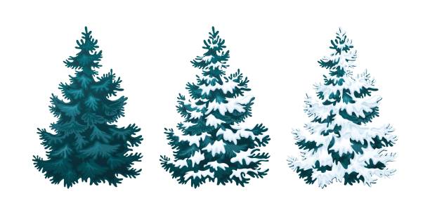 istock Realistic illustration of fluffy fir tree in snow 1.1 1067057096