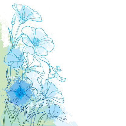 Vector corner bouquet with outline Flax plant or Linseed or Linum. Flower bunch, bud and leaf in pastel blue and green on the white background. Ornate contour Flax for summer design.