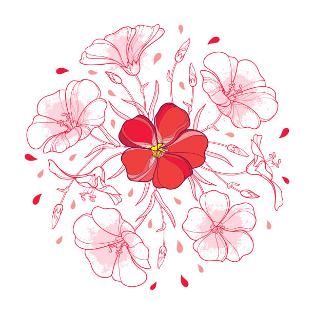 illustrazioni stock, clip art, cartoni animati e icone di tendenza di bouquet rotondo vettoriale con contorno pianta di lino o fiore di lino o linum, bocciolo e foglia in rosso pastello e rosa isolati su sfondo bianco. - circle nature botany bud