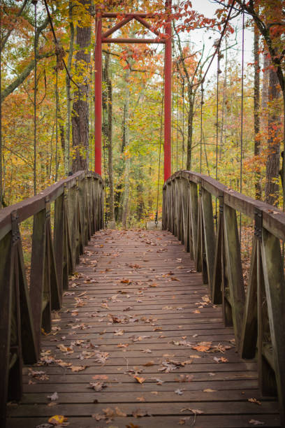istock Small suspension bridge with fall colors in the forest 1067068116