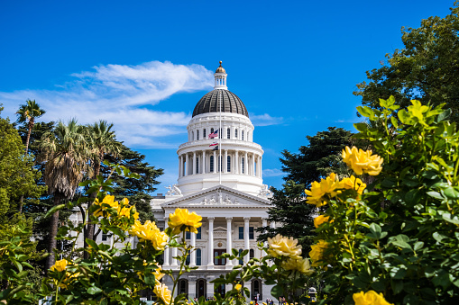 California State Capitol building, Sacramento, California; sunny day; beautiful yellow roses in the foreground