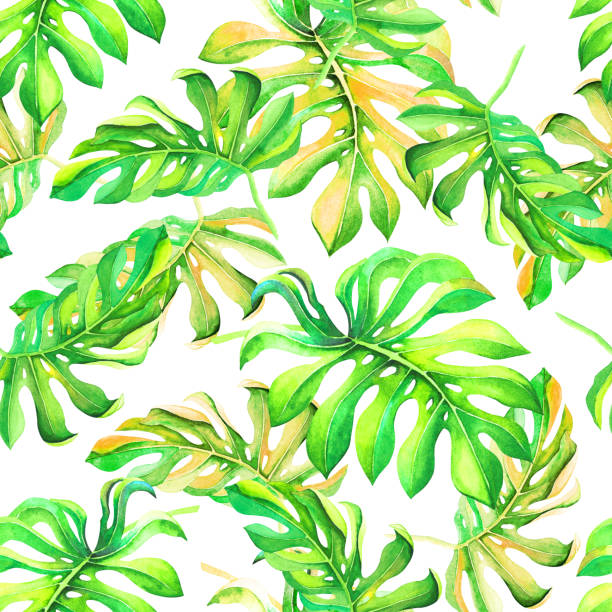 白い背景に分離されたエキゾチックな緑と黄色の水彩葉と美しい季節パターン。パーティー装飾、ファッション テキスタイル プリント、バナーの紅葉とシームレスな熱帯テクスチャ - white background image australia sunlight点のイラスト素材／クリップアート素材／マンガ素材／アイコン素材