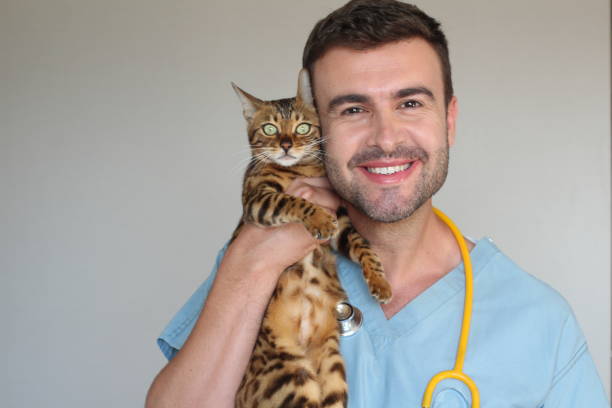 istock Cautious veterinarian with his patient 1067090796