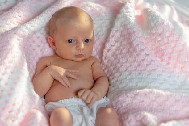 Newborn baby girl in a pink blanket stock photo