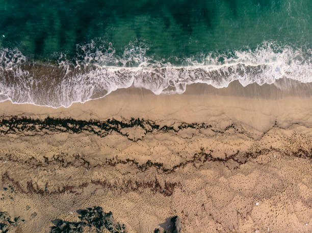 istock Aerial shot dirty coast wave 1067099244