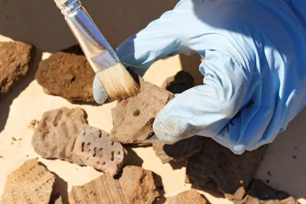 Archeology: clearing dust from numerous fragments of medieval earthenware. The variety of patterns etched on clay by ancient people